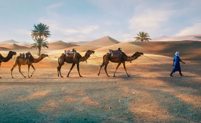 Viaje de 7 dias desde Casablanca