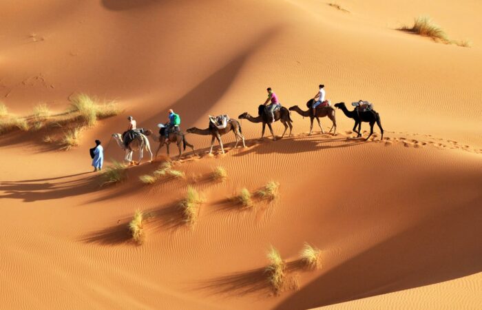 excursión desierto marrakech 2 días