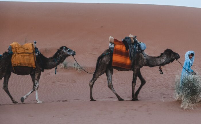 Ruta de 3 dias al desierto desde fez