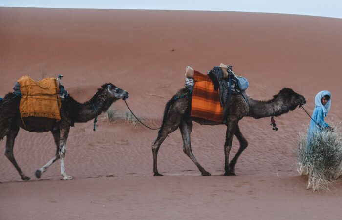 Ruta de 3 dias al desierto desde fez